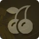 Available Casino Games
